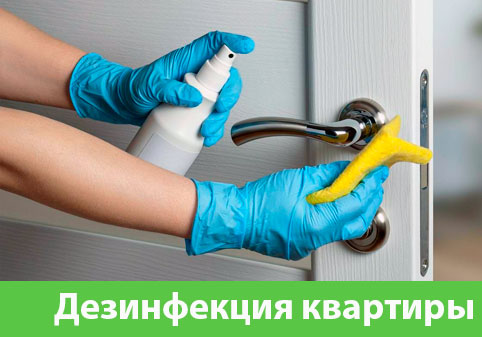 Дезинфекция квартиры в городе Иркутск