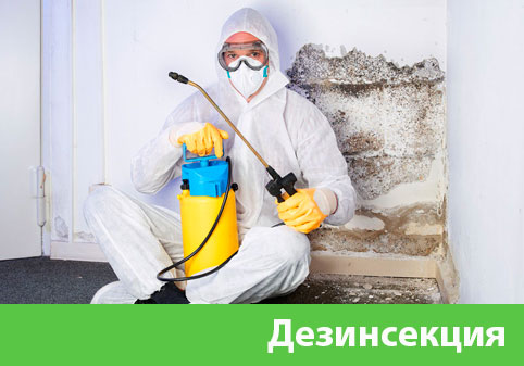 Дезинсекция в городе Иркутск