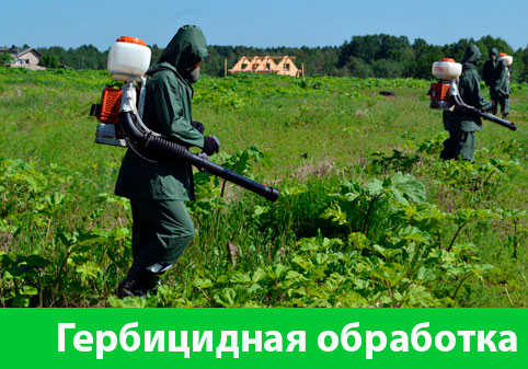 Гербицидная обработка в городе Иркутск