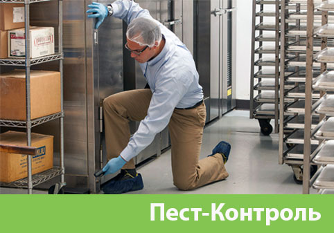 Пэст-Контроль в городе Иркутск