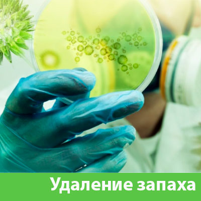 Удаление запахов в Иркутске