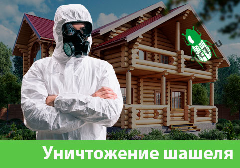 Уничтожение шашеля и личинок в Иркутске