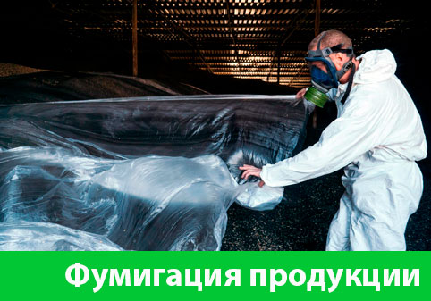 Фумигация продукции в городе Иркутск
